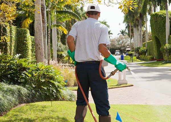 About Torrington CT Pest Control